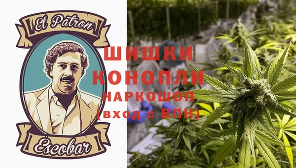 дурь Алзамай