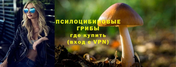 дурь Алзамай